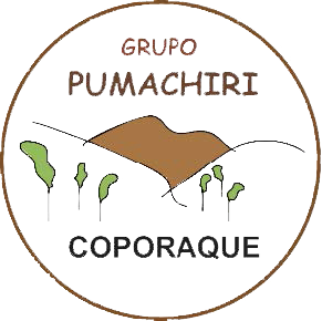 logo pumachiri